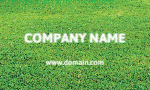 Lawn 