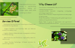 Brochure-2