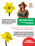 Flyer-35