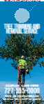 Tree Removal
